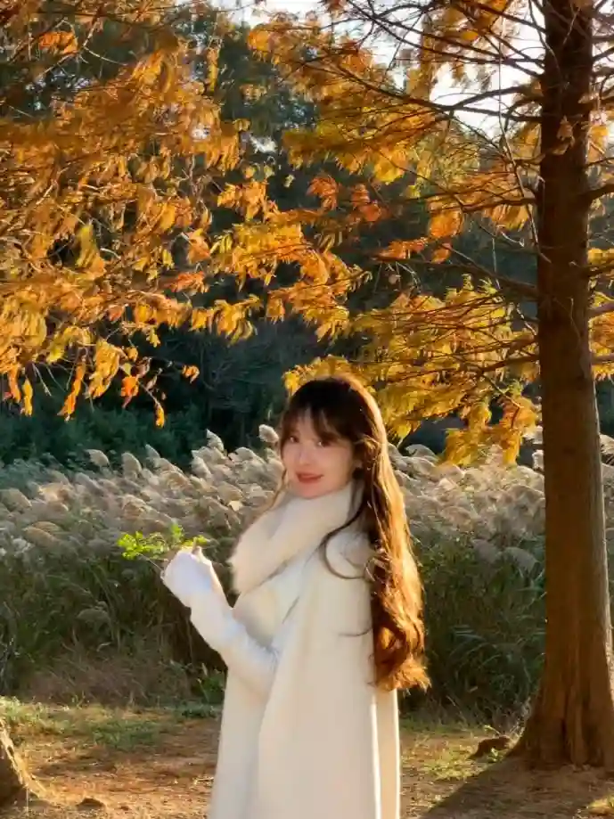 月下夜想曲场景截图