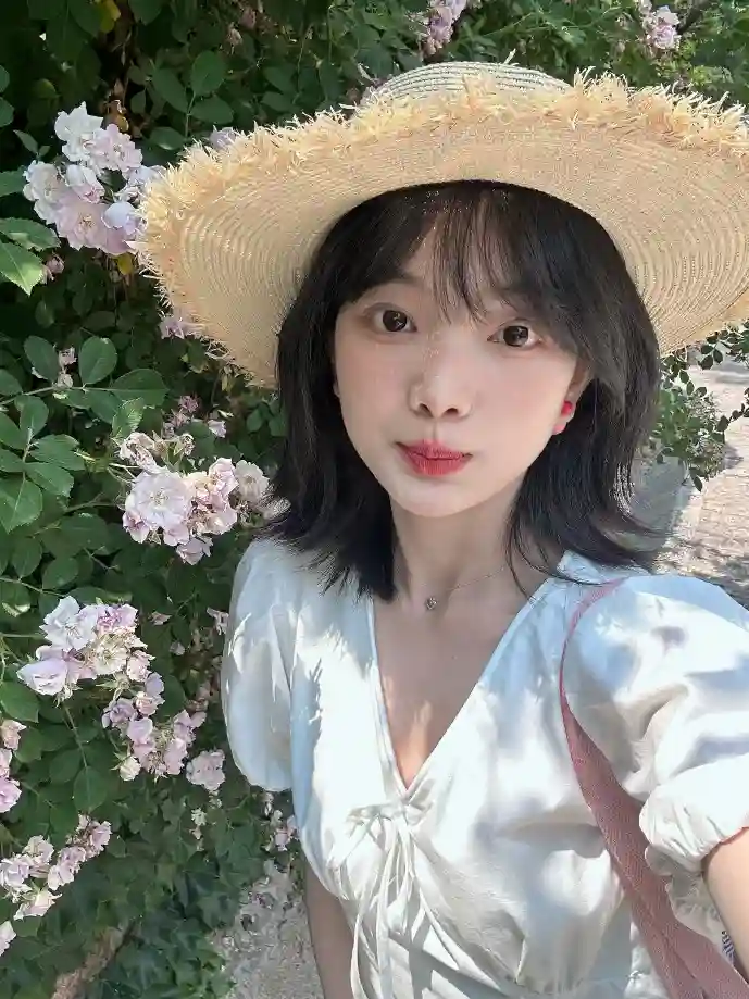 网络文学盗版现状数据可视化